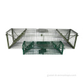 China Whit Bird Cage Animal Live Trap A BirdcageTrap Factory